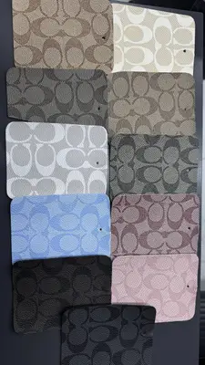Coach Leather