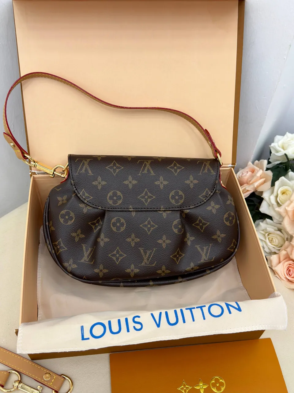 Louis Vuitton çanta 3