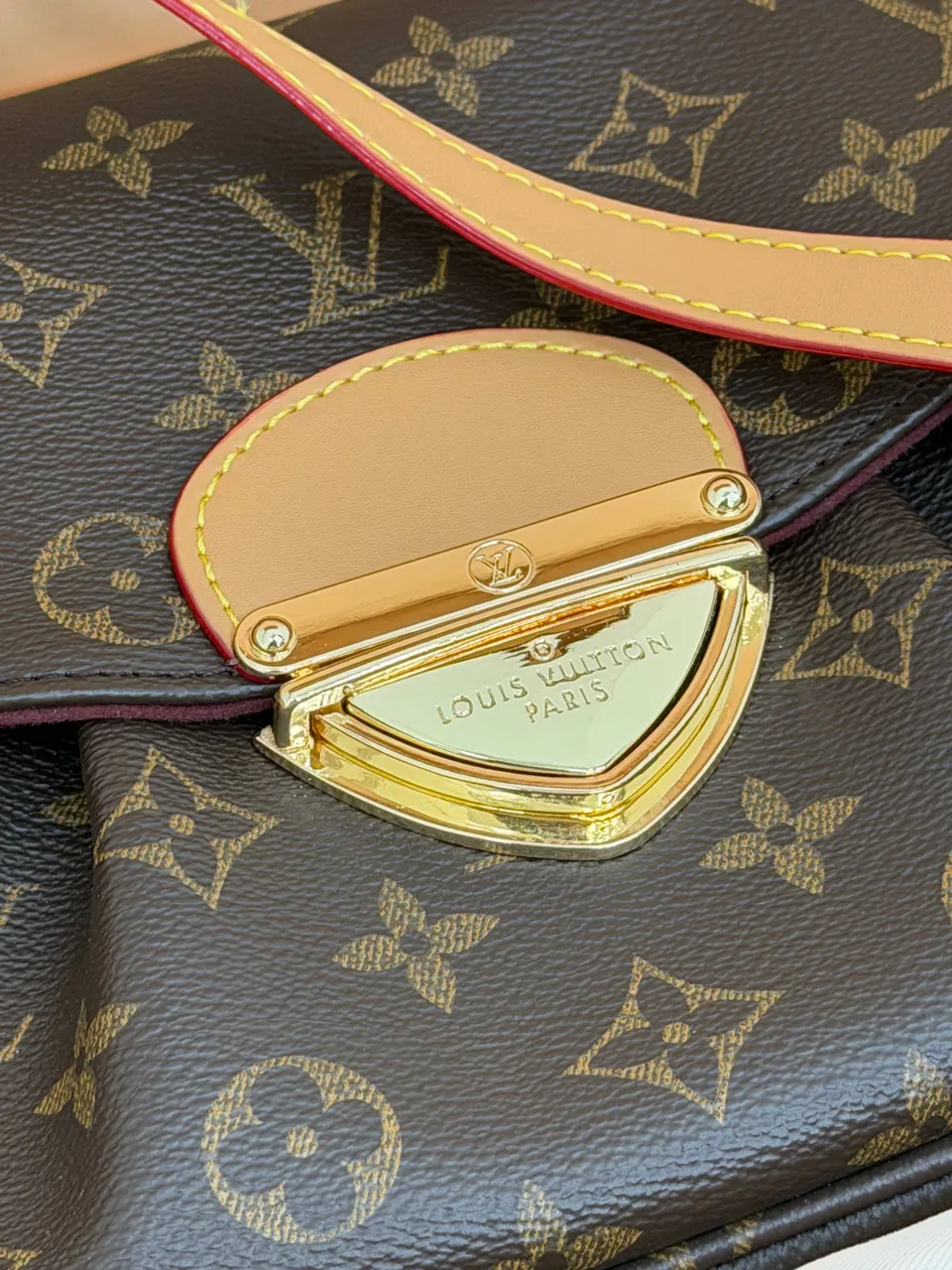 Louis Vuitton çanta 5
