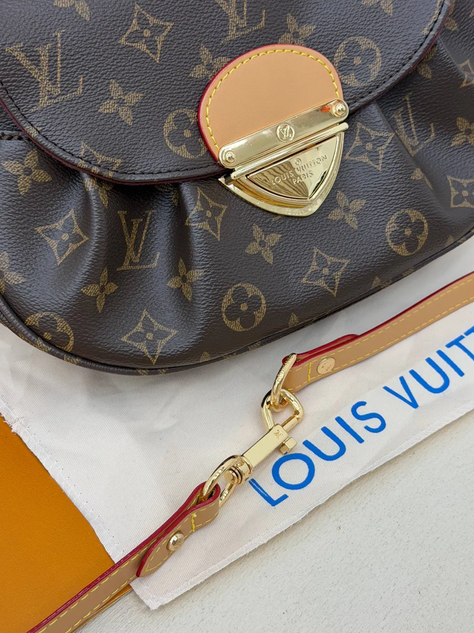 Louis Vuitton çanta 9